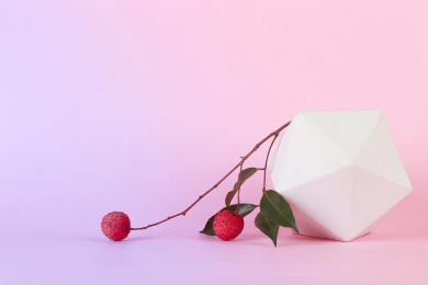 水果新鲜荔枝静物美食创意摄影