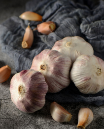紫皮干大蒜