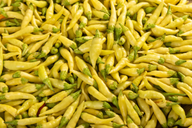 铺满画面的黄绿色辣椒