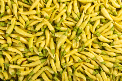 铺满画面的黄绿色辣椒