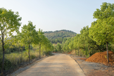 无人的乡村道路