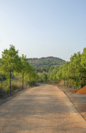 无人的乡村道路