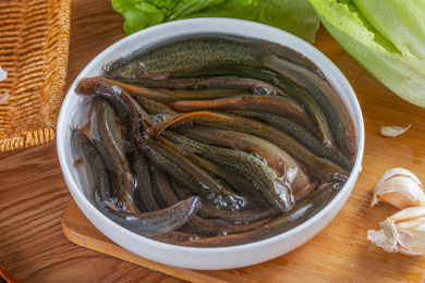 砧板上装在白瓷盘中的新鲜活泥鳅