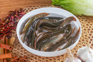 复古背景中装在白瓷碗中的新鲜活泥鳅