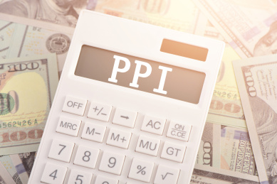 纸币上的计算器印着字母PPI