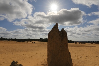 蓝天映衬下的西澳大利亚尖峰石阵景观