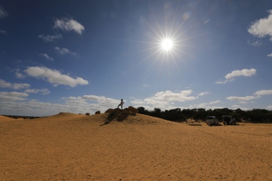 蓝天映衬下的西澳大利亚尖峰石阵景观
