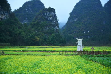 贵州兴义万峰林景区农村田间油菜花盛开的乡村原野风景