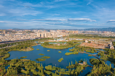 昆明斗南湿地风光