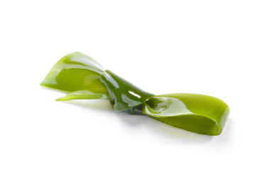 新鲜饱满的海带结