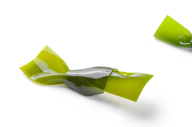 新鲜饱满的海带结