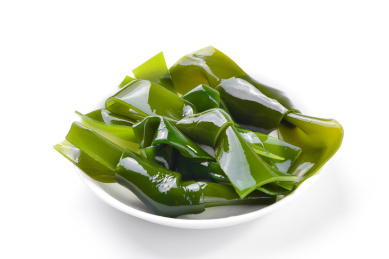 新鲜饱满的海带结