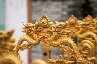 黄金龙纹雕刻的伸缩铁门特写