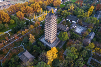 中国陕西省西安小雁塔秋景