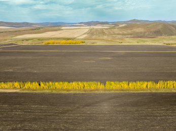 内蒙古呼伦贝尔草原肥沃的黑土地