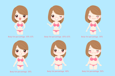 比基尼女性6种体脂肪率平面插图