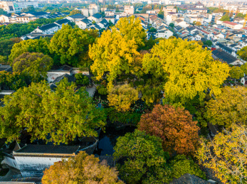 中国江苏苏州留园秋季风光