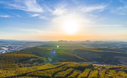 中国吉林延吉帽儿山国家森林公园秋季景观