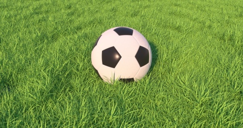 足球场中的足球