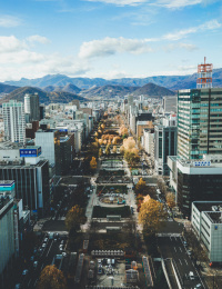 日本札幌秋天银杏街景