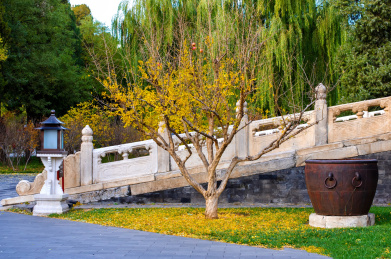 北京故宫秋天路边的落地宫灯