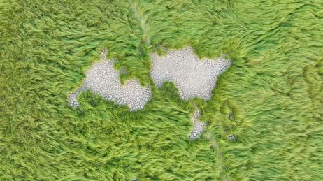 干旱的武汉府河河床