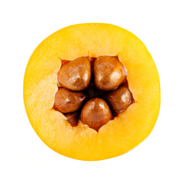 新鲜的枇杷孤立在白色背景上