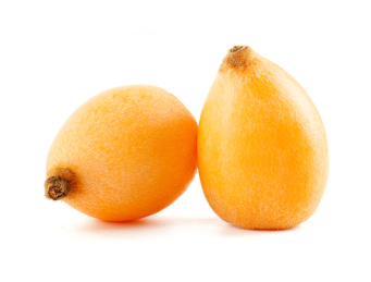 新鲜的枇杷孤立在白色背景上