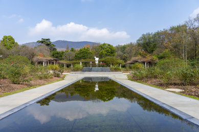 南京中山陵风景