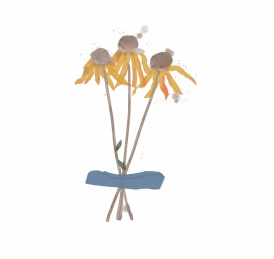 手绘凋零花朵植物水彩插画元素