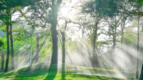 大学校园园区梦幻耶稣光