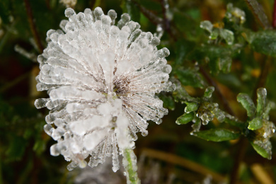 浙江金华山初雪披银装
