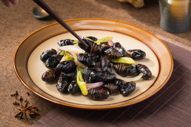 中国东北特色美食干炒茧蛹