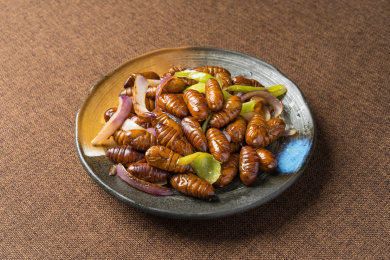 中国东北特色美食干炒茧蛹