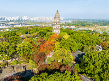 中国江苏苏州虎丘风景名胜区秋季