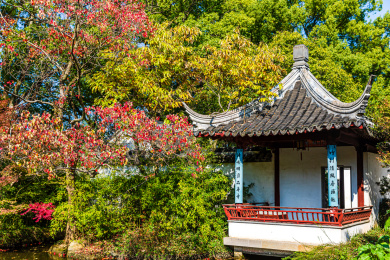 中国江苏苏州虎丘风景名胜区秋季