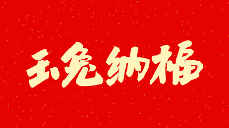 中国书法字体玉兔纳福