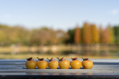 一排无患子小提壶果实整齐排列