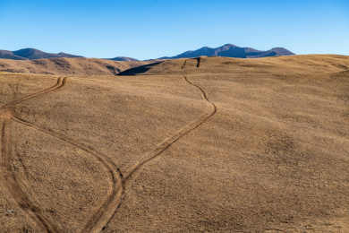 草地上的车轮痕迹