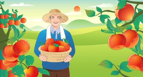 新农村新气象爱心助农苹果丰收