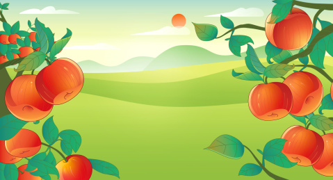 新农村新气象爱心助农苹果丰收