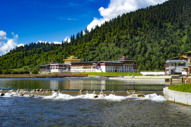 中国西藏林芝鲁朗小镇