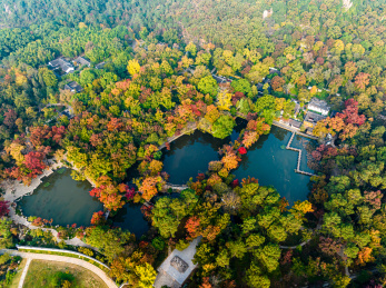 中国江苏苏州天平山秋季风光