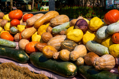 丰收节里用南瓜和各种瓜果堆砌成的花园景观