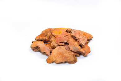 药用植物中草药材红茯苓