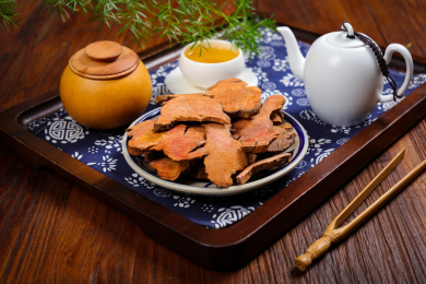 药用植物中草药材红茯苓