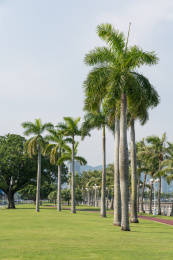 珠海情侣路夜风海韵海滨公园风光