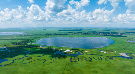 扎龙湿地航拍