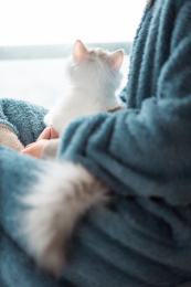 趴在主人怀里的小猫咪看远方