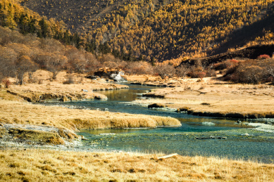 深山里的溪流